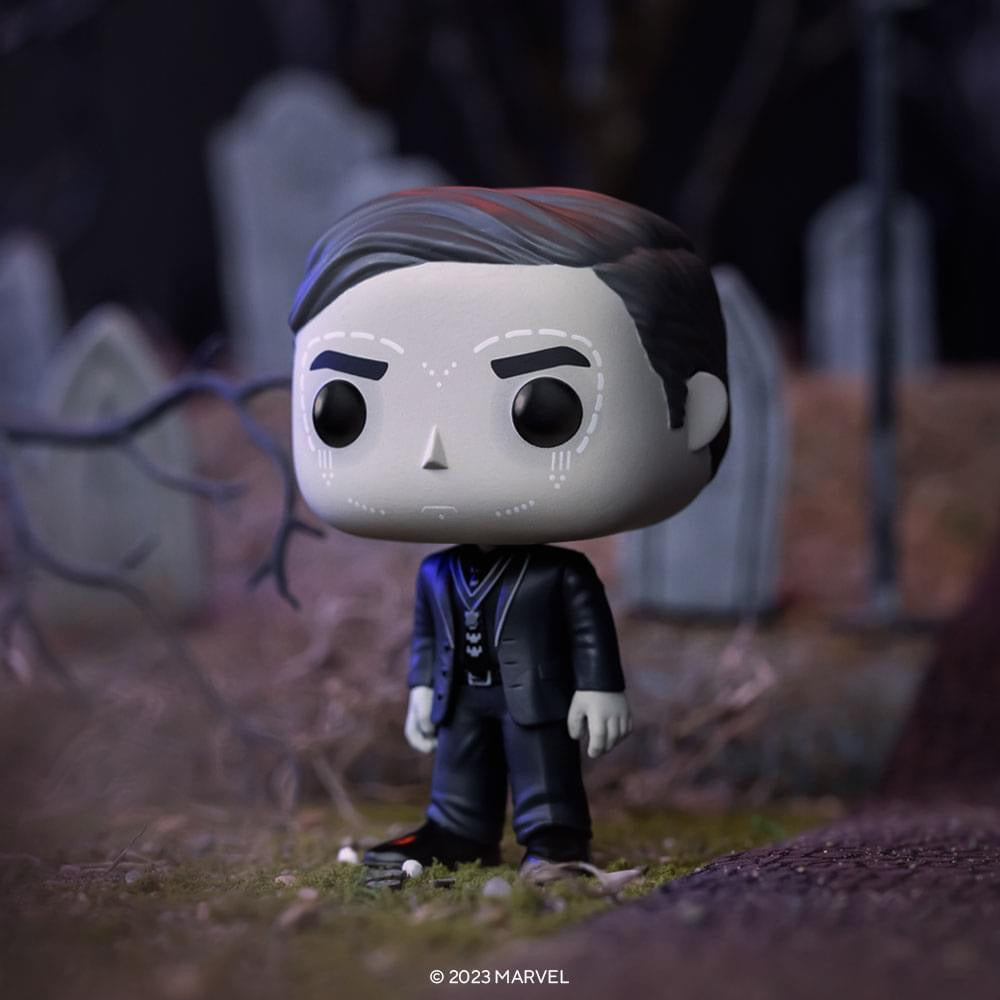 pop jack russel 1272