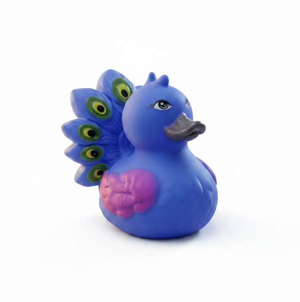 Canard Paon