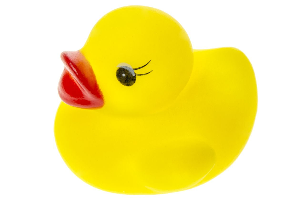 Canard de Bain Jaune