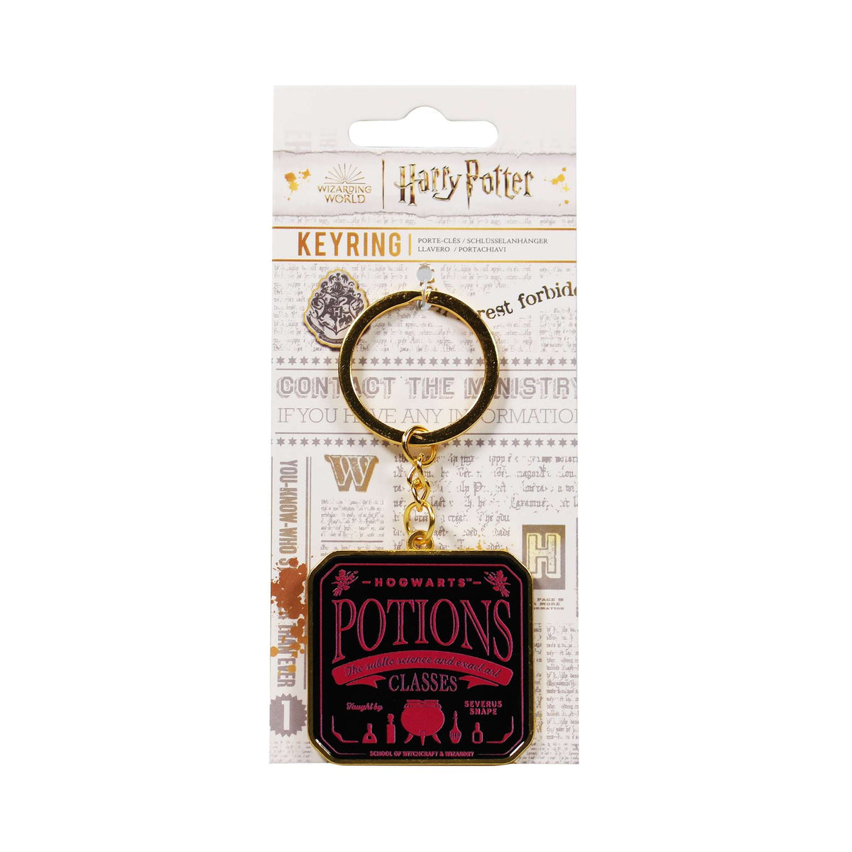 Porte-clés Harry Potter - avec carte d'en-tête Potions