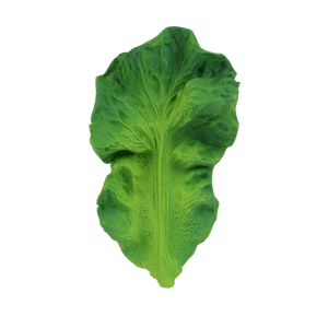 Kendall le Chou kale – Jouet de dentition bébé