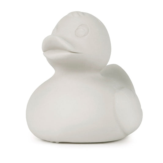 Elvis le canard gris