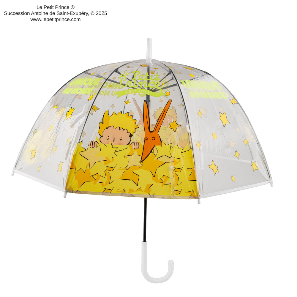 The World's Only Transparent Umbrella