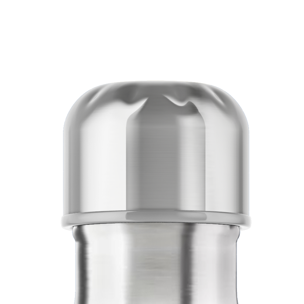 IZY Replacement Lid - Silver