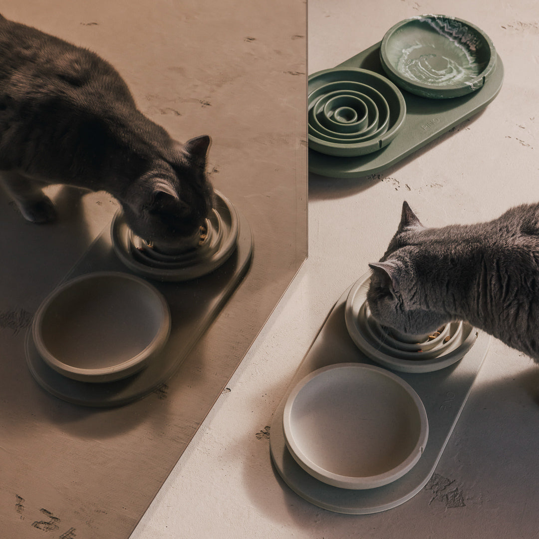 Tray for Cats – product view 6