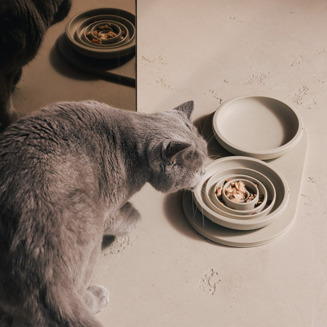 Anti-schrokvoerbak voor katten – productweergave 10