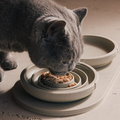 Tray for Cats – product view 10