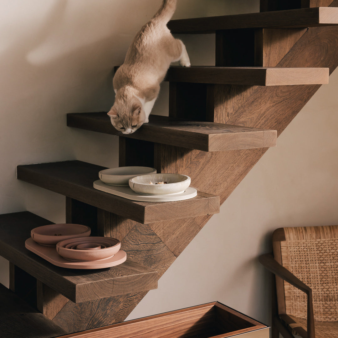Tray for Cats – product view 11