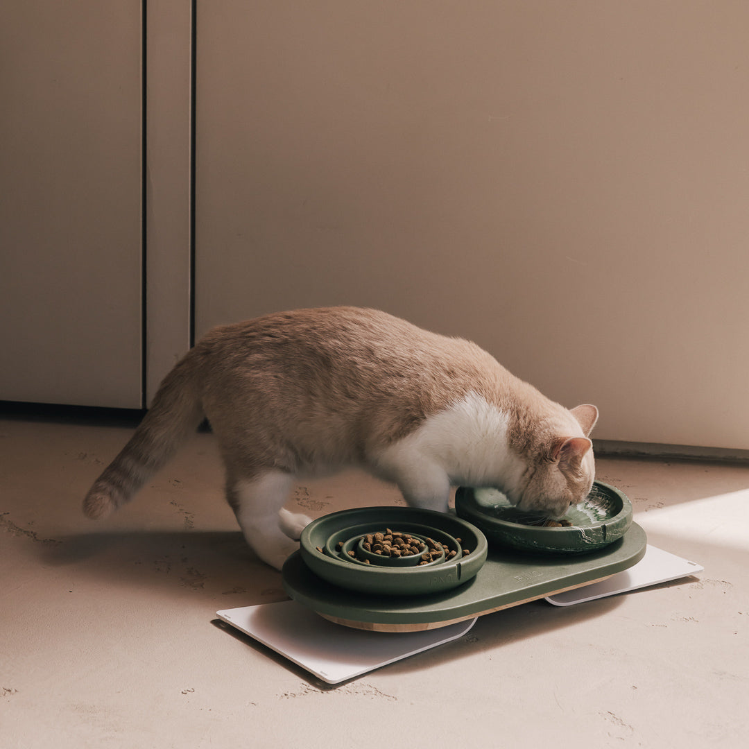 Anti-schrokvoerbak voor katten – productweergave 18