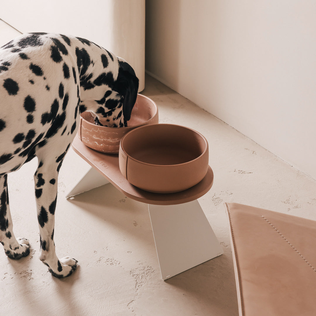 Set Perfect Posture per cani – vista principale