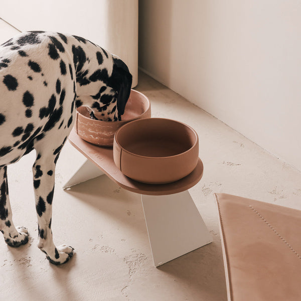 Set Perfect Posture per cani – vista principale