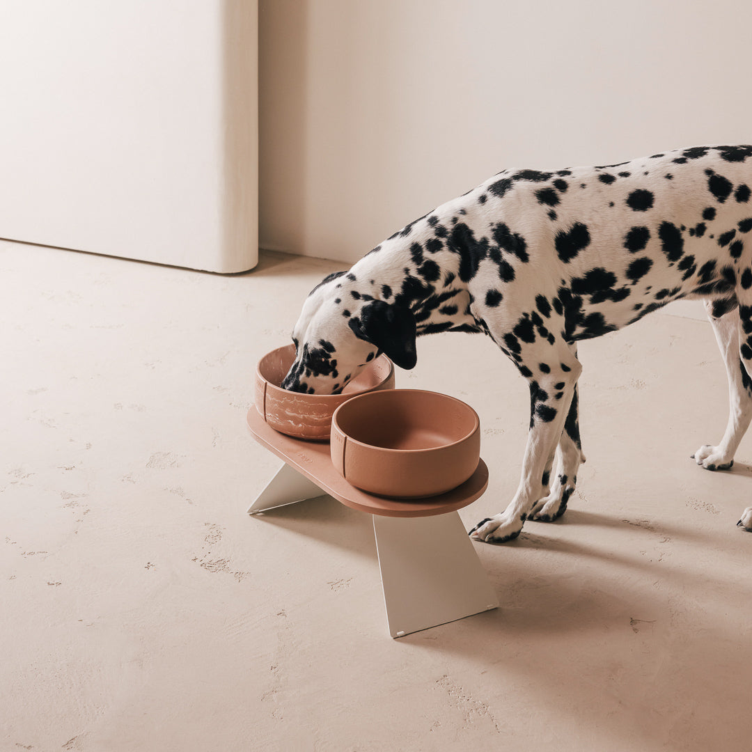 Set Perfect Posture per cani – vista prodotto 8