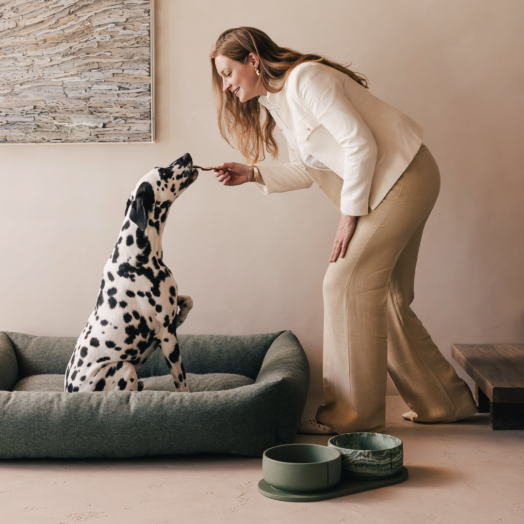 Napf-Tablett für Hunde – Produktansicht 41