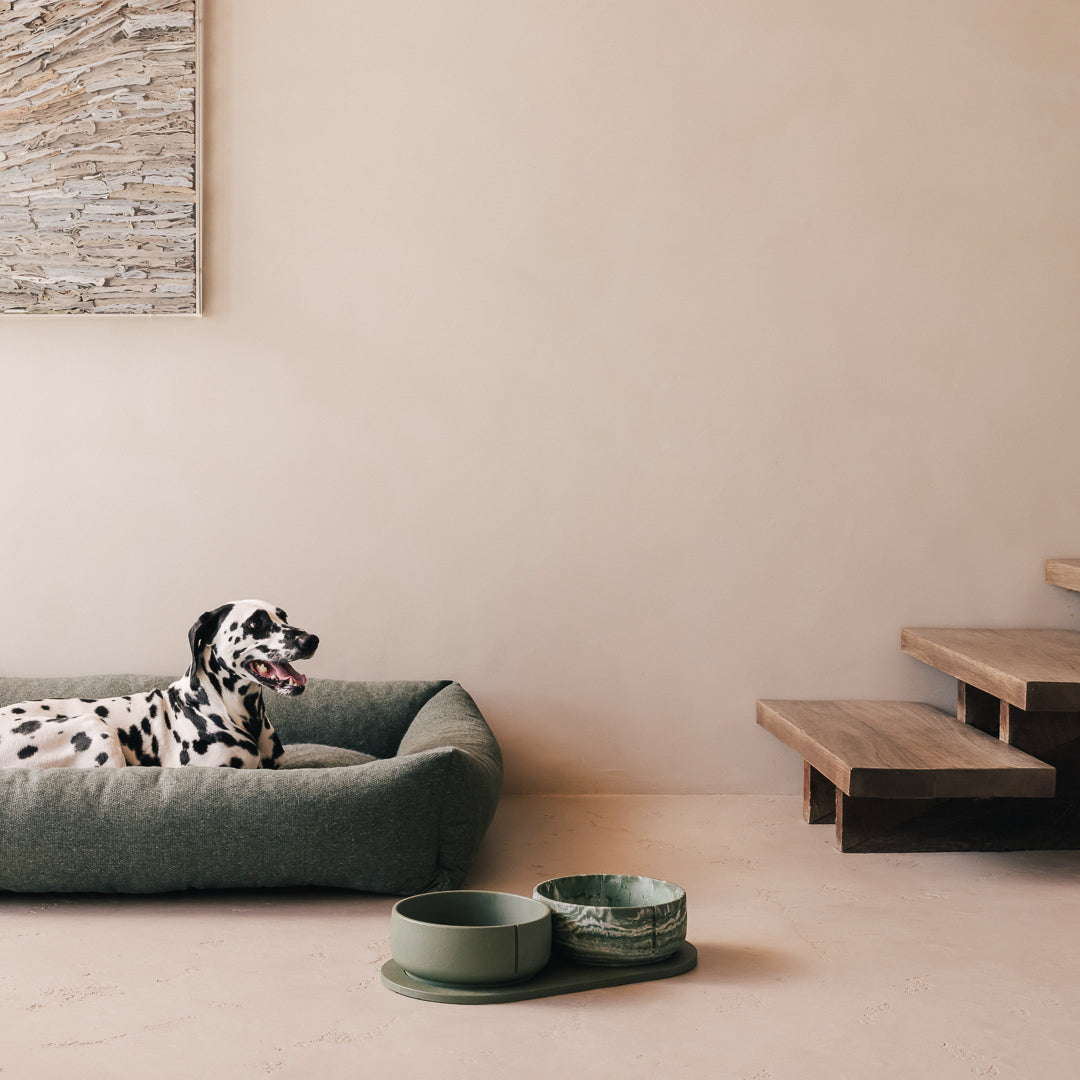Napf-Tablett für Hunde – Produktansicht 49