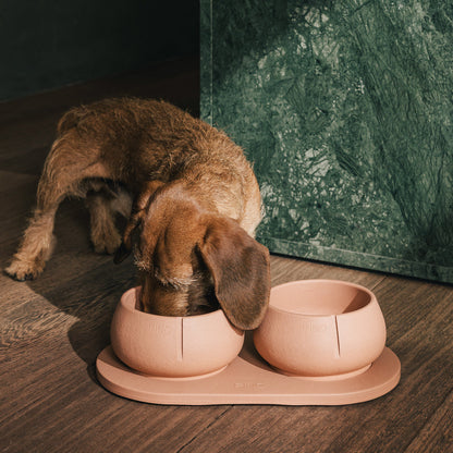 Comedouro Long Ears – vista do produto 13