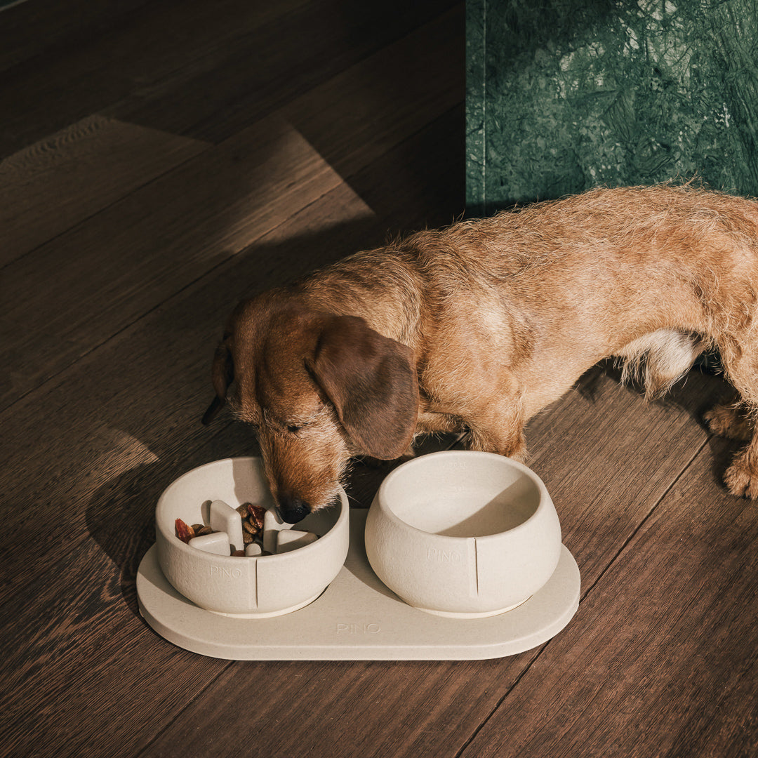 Napf-Tablett für Hunde – Produktansicht 29