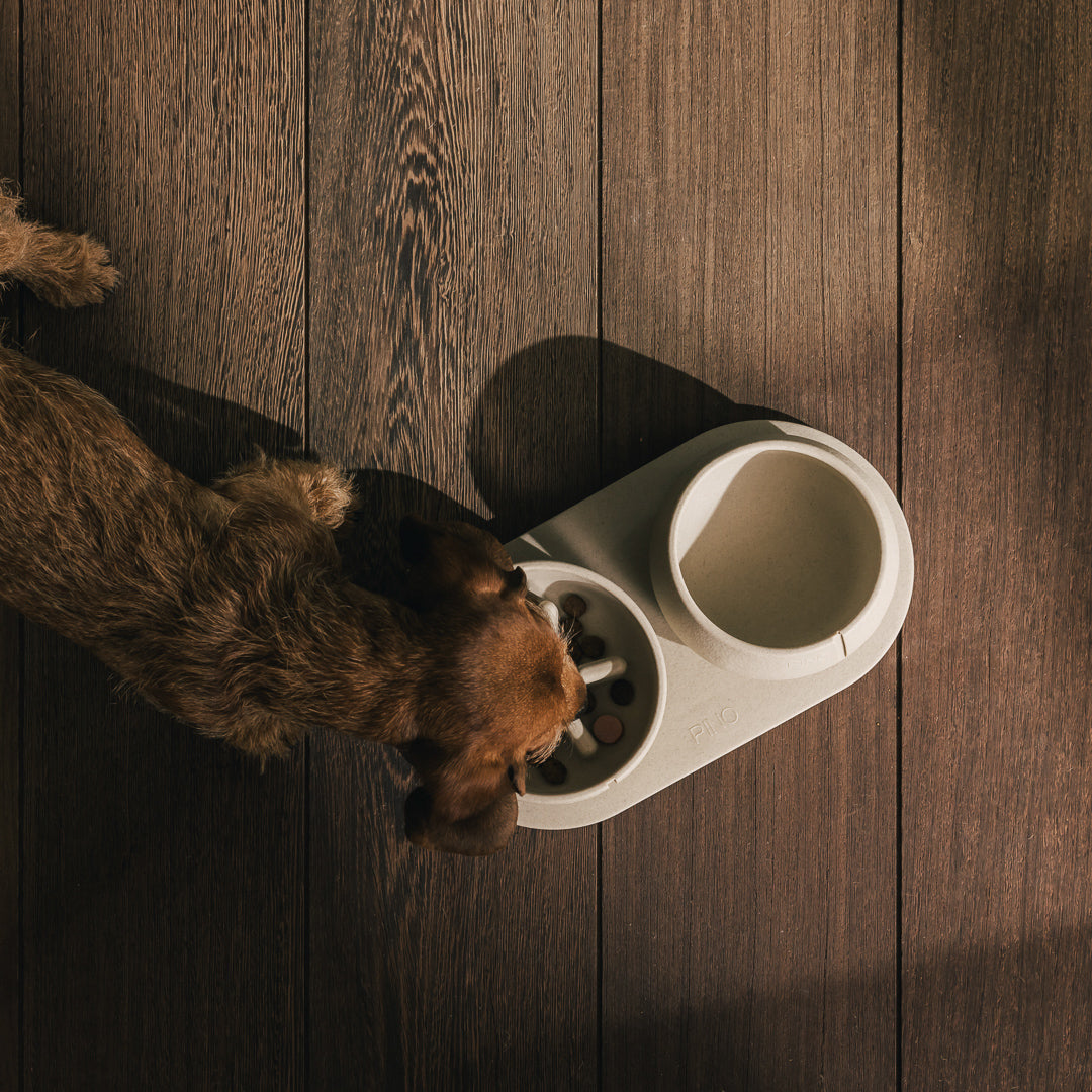 Napf-Tablett für Hunde – Produktansicht 27