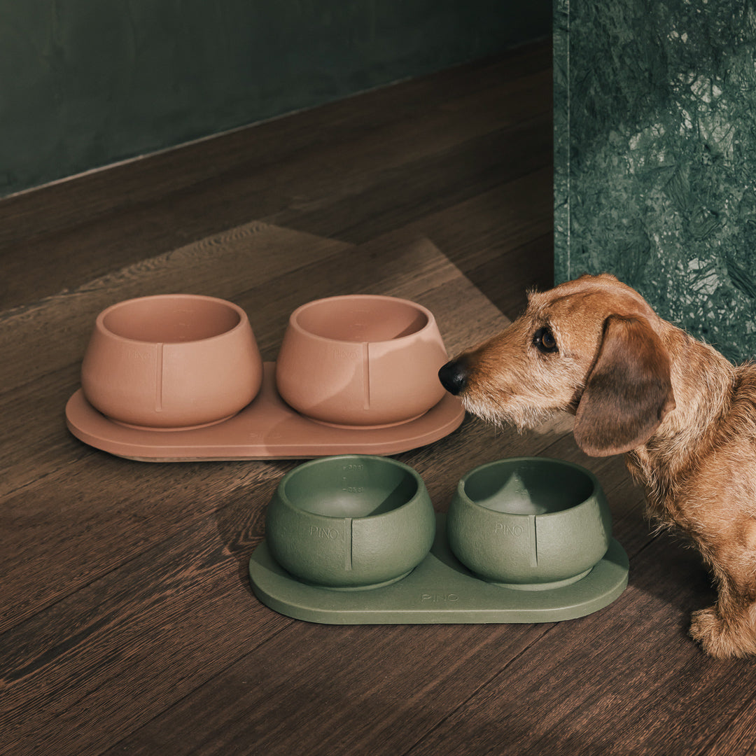 Napf-Tablett für Hunde – Produktansicht 5