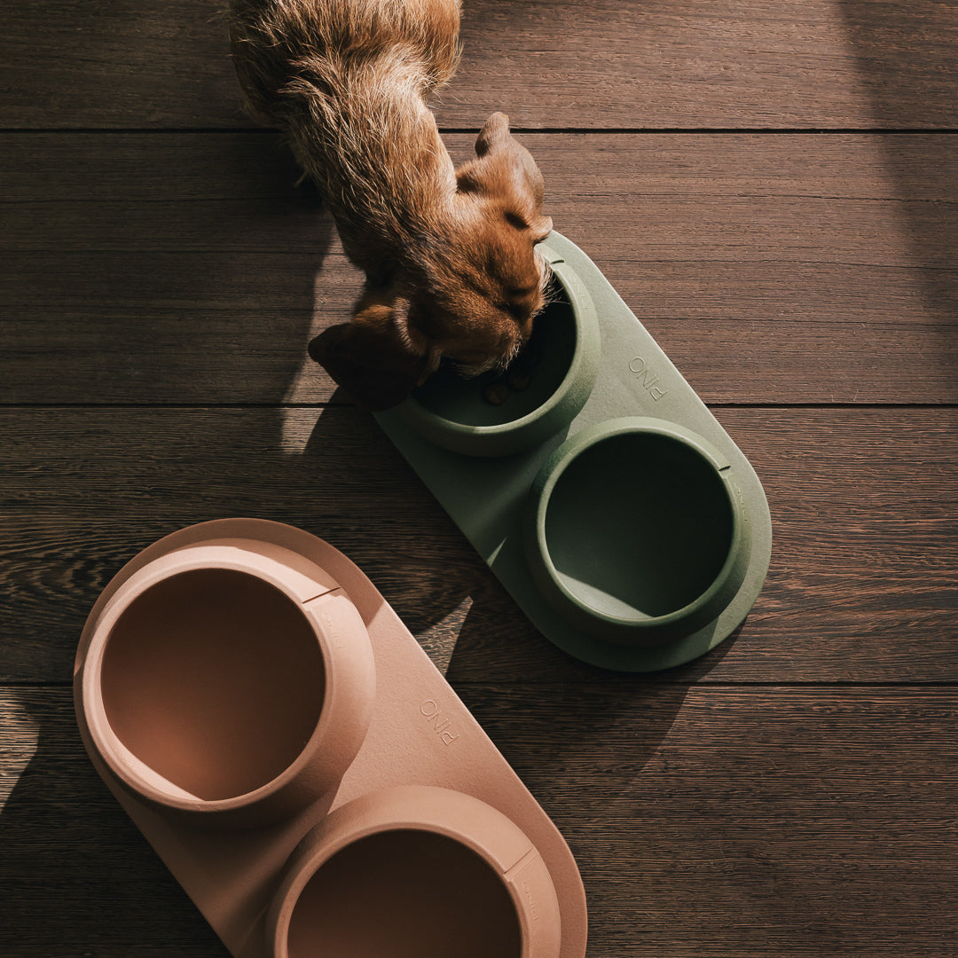 Comedouro Long Ears – vista do produto 11