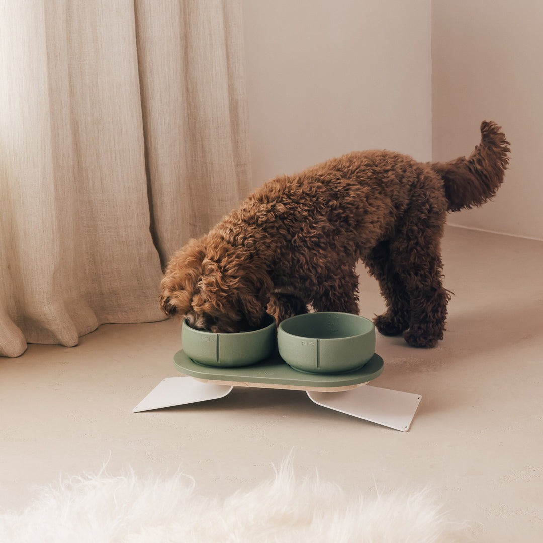 Set Perfect Posture per cani – vista prodotto 20