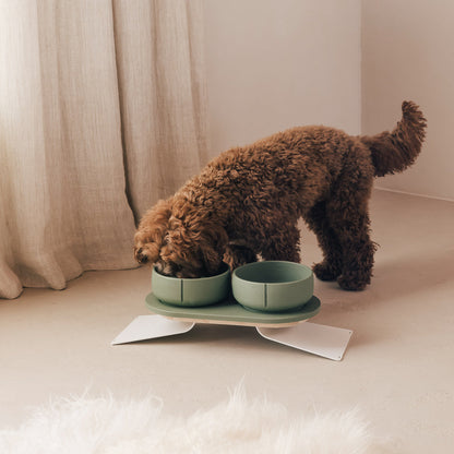 Set Perfect Posture per cani – vista prodotto 20