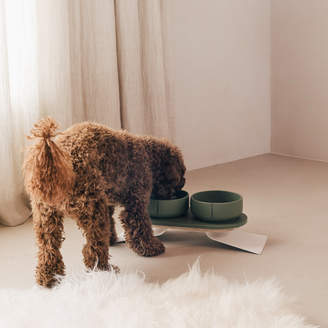 Napf-Tablett für Hunde – Produktansicht 39
