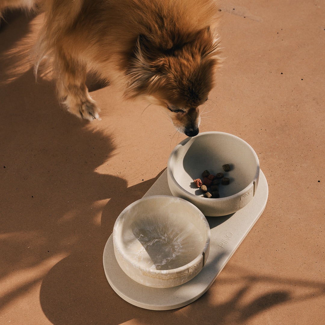 Napf-Tablett für Hunde – Produktansicht 32