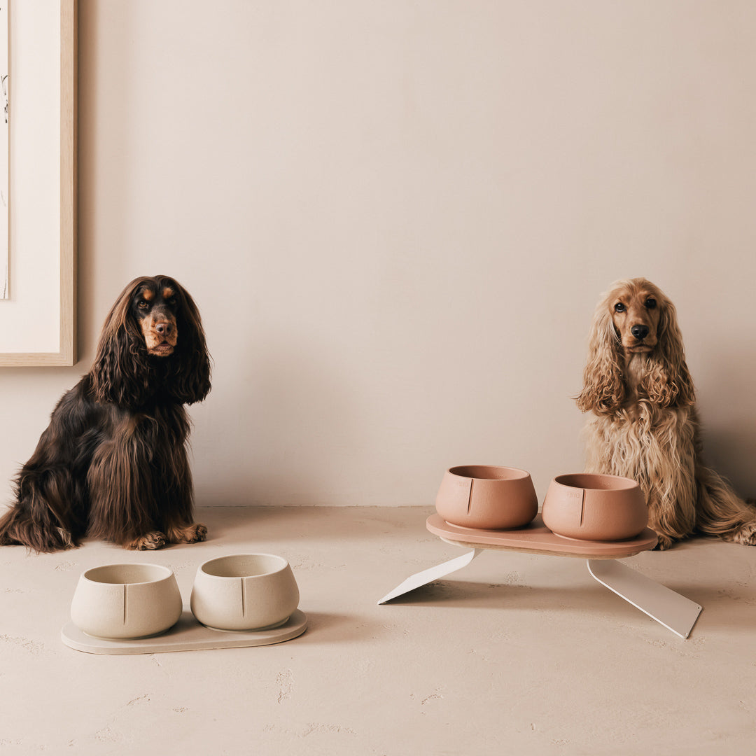 Set Perfect Posture per cani – vista prodotto 23
