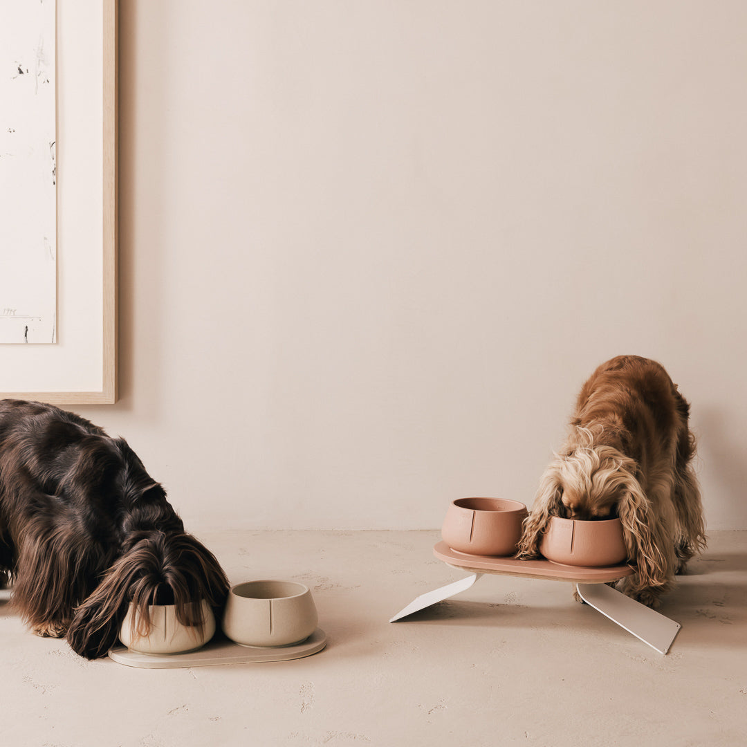 Set Perfect Posture per cani – vista prodotto 27