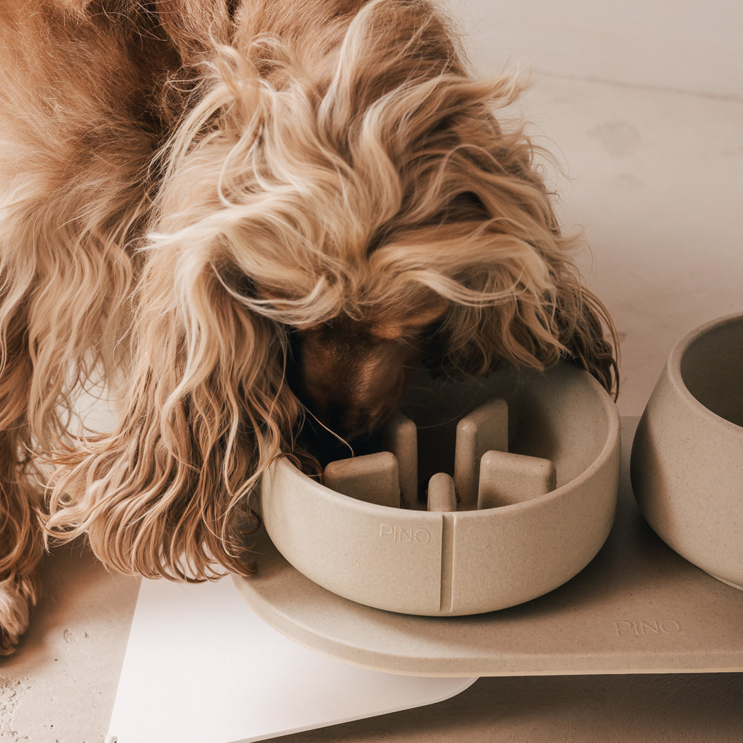 Set Perfect Posture per cani – vista prodotto 16