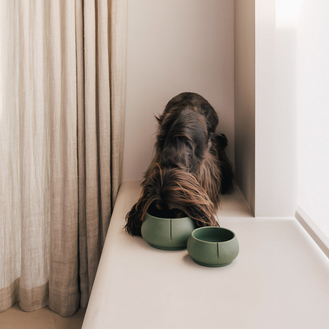Comedouro Long Ears – vista do produto 18