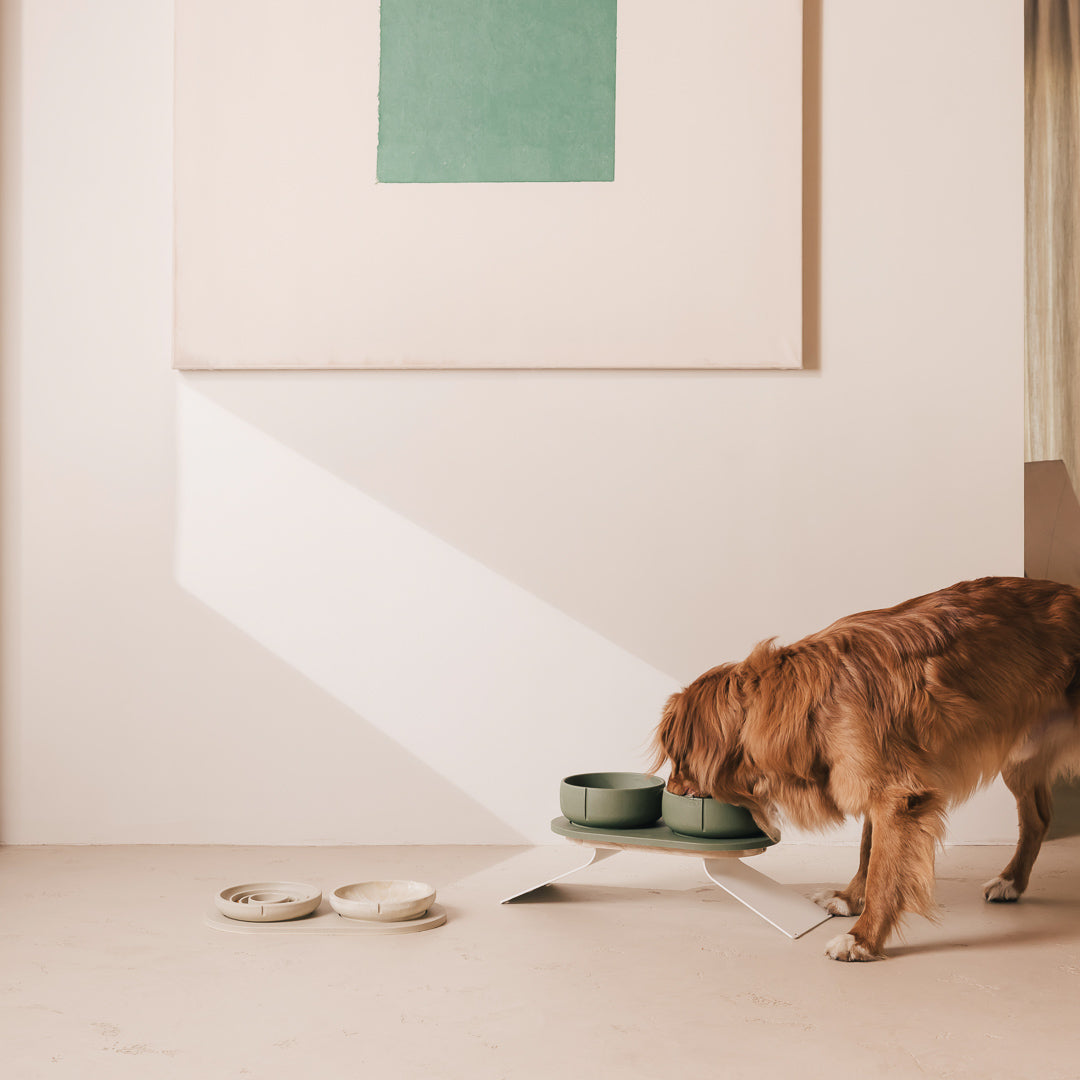 Set Perfect Posture per cani – vista prodotto 32
