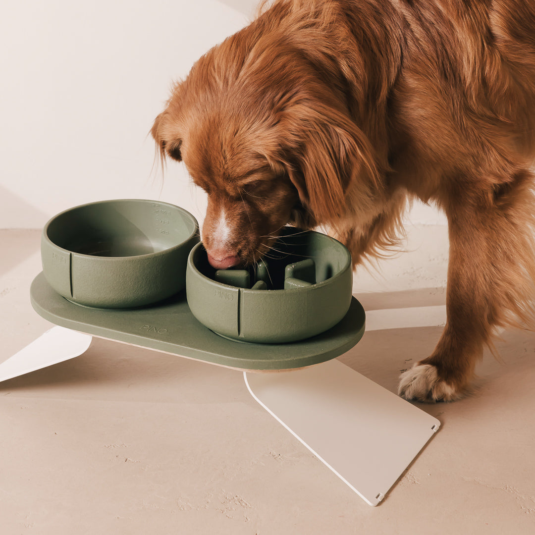 Set Perfect Posture per cani – vista prodotto 9