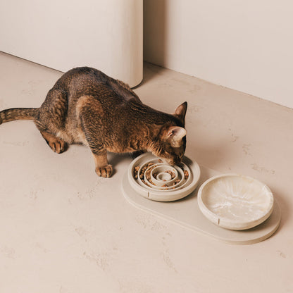 Anti-schrokvoerbak voor katten – productweergave 14