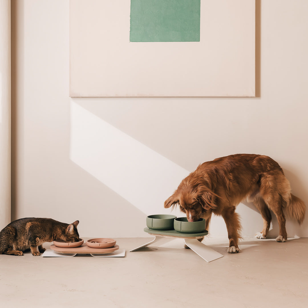 Coffret posture optimale pour chats – vue produit 7