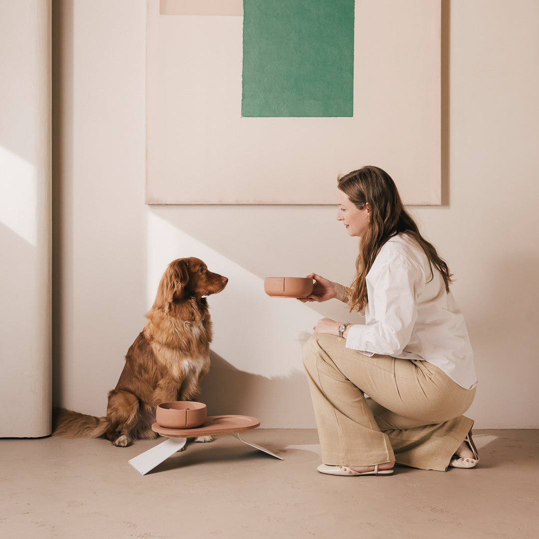 Napf-Tablett für Hunde – Produktansicht 53