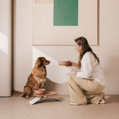 Set Perfect Posture per cani – vista prodotto 22