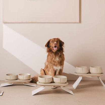 Set Perfect Posture per cani – vista prodotto 5