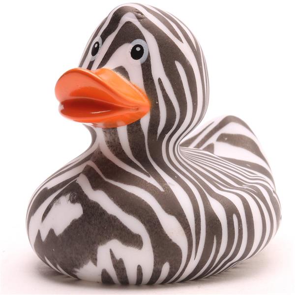 Canard Zèbre Sauvage