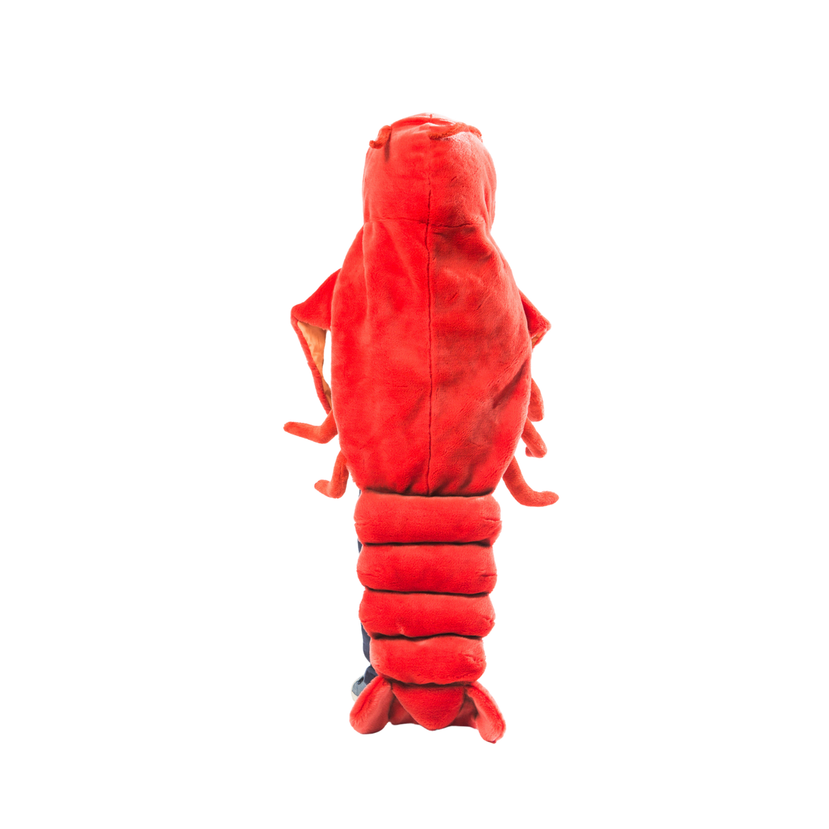 Déguisement enfant Homard