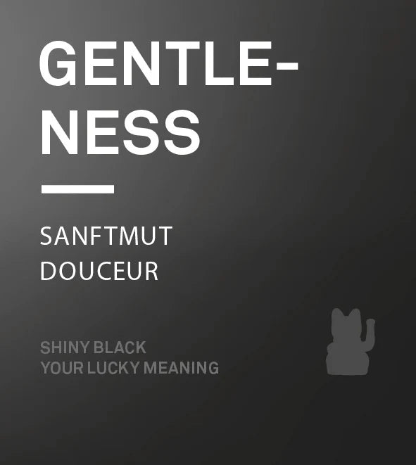 Chat Chanceux Noir Glossy