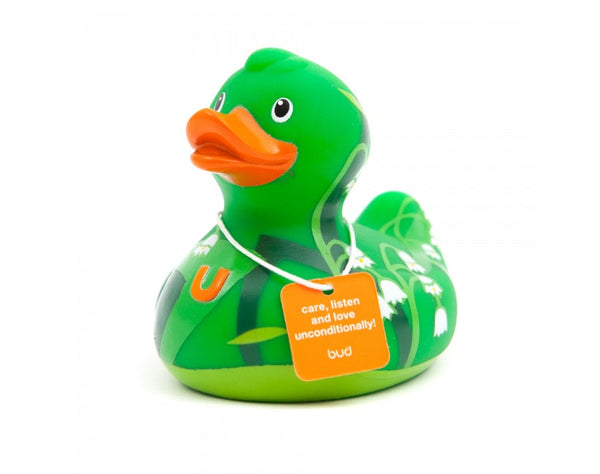 Zorzal de pato