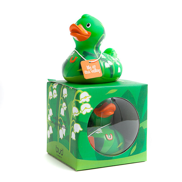 Zorzal de pato