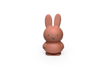 Money box Miffy Warm Edition S 