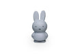Miffy Rabbit Money Box Warm Edition S