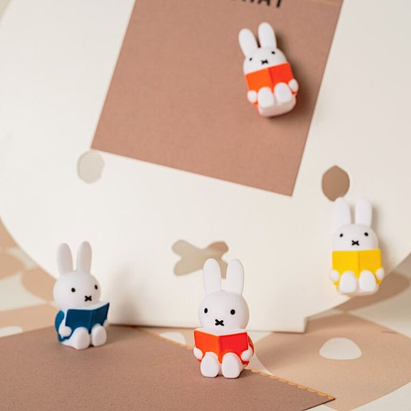 Libro di magneti Miffy Rabbit 