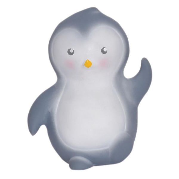 Il mio primo pinguino artico