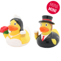 Mini married ducks