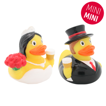 Mini married ducks