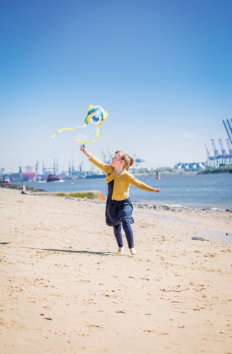 Mini Kite Parrodise